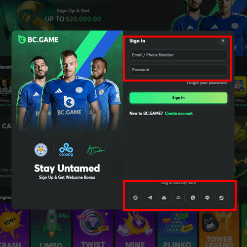 How to Log In to Your BC.Game Account