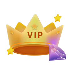 VIP Program
