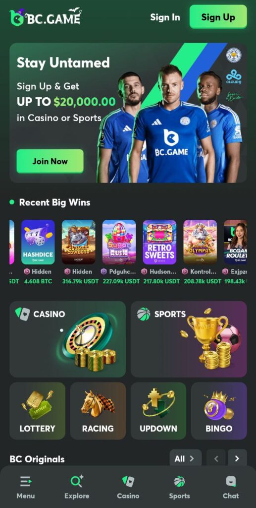 BC.Game mobile application