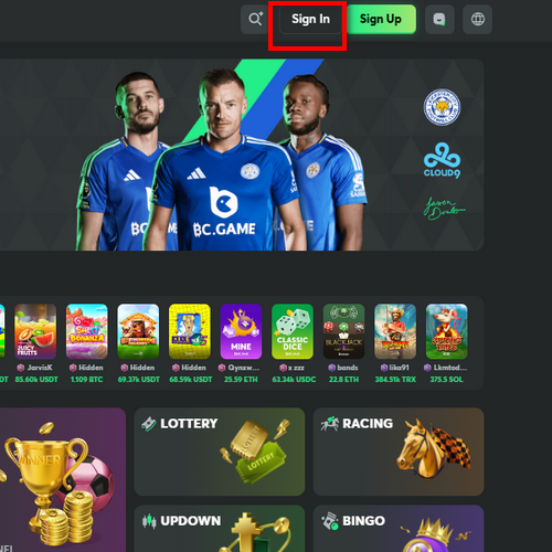 How to Log In to Your BC.Game Account