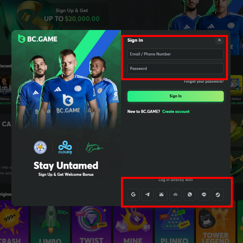 How to Log In to Your BC.Game Account